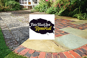 patio black spot removal
