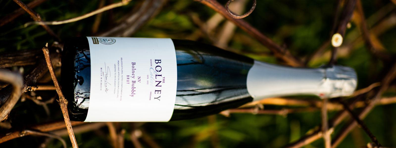 Selecting the right wine with Bolney Wine