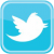 Twitter Logo