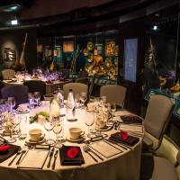 The mary rose The mary rose