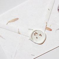 Beyond Wax envelope example Beyond Wax envelope example