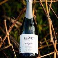 Selecting the right wine with Bolney Wine Selecting the right wine with Bolney Wine