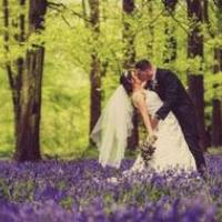 Top 10 wedding venues in Wiltshire Bowed Hotel