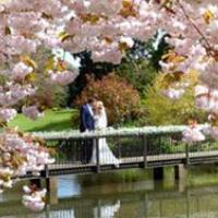 Tips For Creating a Unique Wedding Unique Wedding