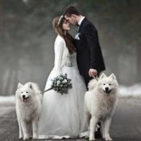 Winter Wedding