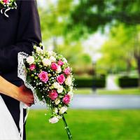 Lavish wedding Lavish wedding