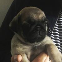 The importance of choosing the right venue and people to help you in the run up to your special day pug