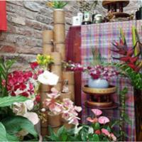 Manchester Spa Manchester Spa