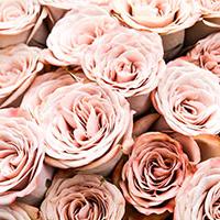 What To Do With Rain On Your Wedding Day What To Do With Rain On Your Wedding Day