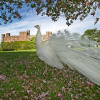 Scone Palace Wedding Venue Scone Palace Wedding Venue