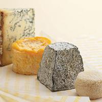 Selection of cheeses Selection of cheeses