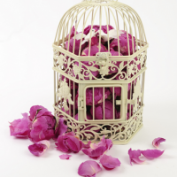 Shropshire Petals launch new Pink Rose Heads Shropshire Petals