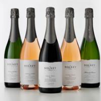 Celebrate a sparkling future with a drop of english from Bolney wine estate sparkling wine