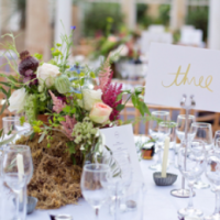 Tapenade evening menu offer Tapenade evening menu offer