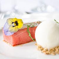 Vegan Watermelon Starter Vegan Watermelon Starter