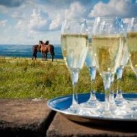 Get set for your big day with the Pennine Manor Wedding Fayre Get set for your big day with the Pennine Manor Wedding Fayre