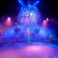 It's the most wonderful time of the year to be married It's the most wonderful time of the year to be married