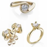 Arctic Flowers Group Arctic Flowers Group