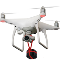 Calling all lovebirds… Are you adventurous, into your technology, and like to do things a little differently? Calling all lovebirds… Are you adventurous, into your technology, and like to do things a little differently?