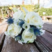 The good, the bad & the ugly The good, the bad & the ugly